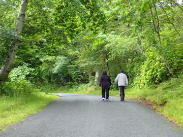 Ards Forest