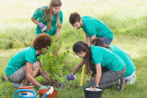 Community Project 